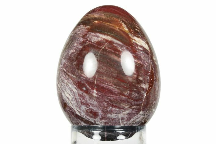 Colorful, Polished Petrified Wood Egg - Madagascar #245368